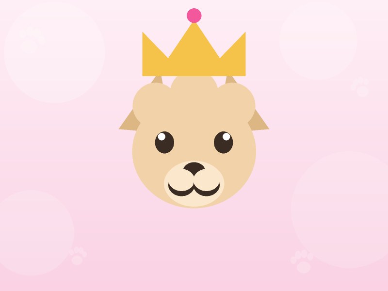Pomeranian kesimi